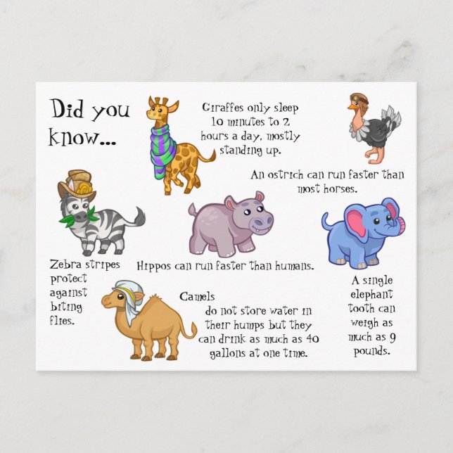 Wild Animals Fun Facts Postcard (Front)