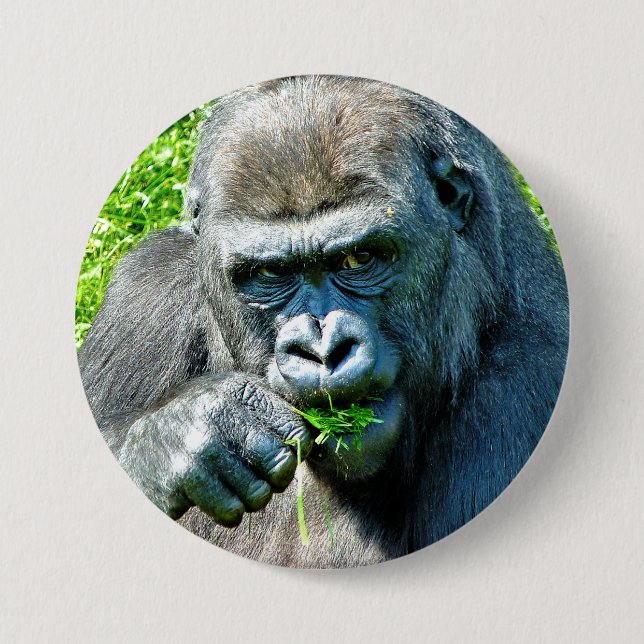 WILD ANIMALS - GORILLAS 7.5 CM ROUND BADGE (Front)