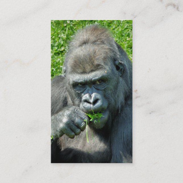 WILD ANIMALS - GORILLAS BUSINESS CARD (Front)