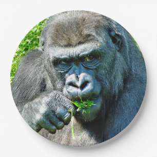 WILD ANIMALS - GORILLAS PAPER PLATE
