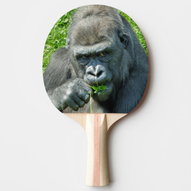 WILD ANIMALS - GORILLAS PING PONG PADDLE (Front)