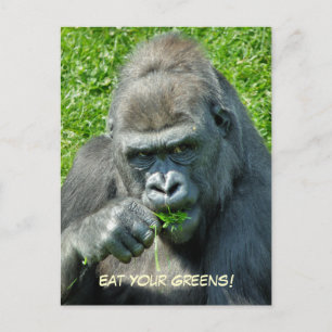 WILD ANIMALS - GORILLAS POSTCARD