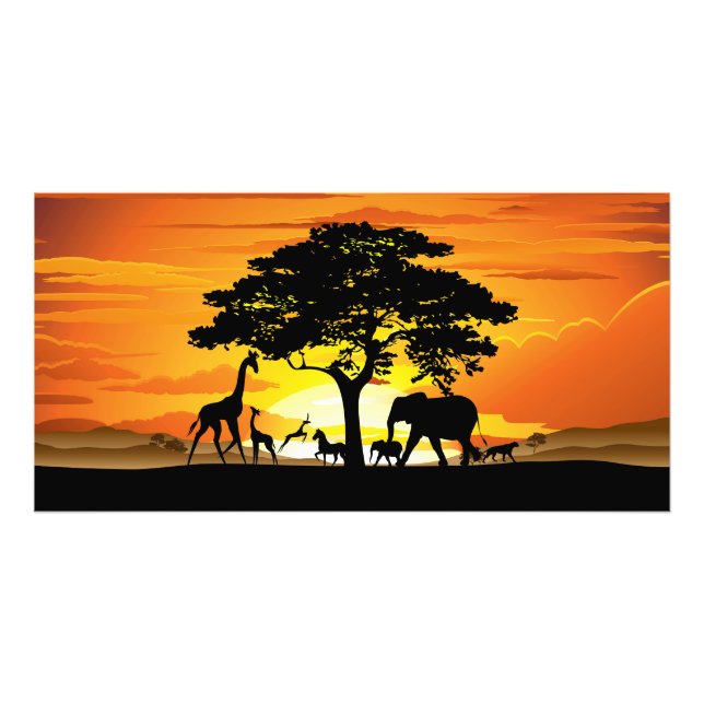 Wild Animals on African Savanna Sunset Photo Print (Front)