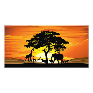 Wild Animals on African Savanna Sunset Photo Print