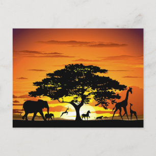 Wild Animals on African Savanna Sunset Postcard
