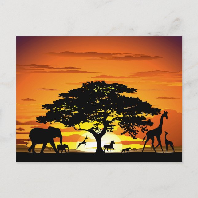 Wild Animals on African Savanna Sunset Postcard (Front)