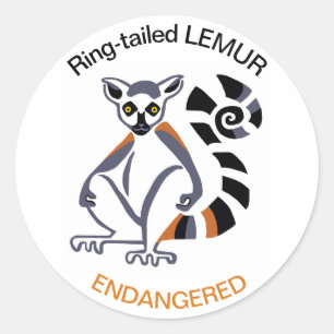 Wild animals - Ring-tailed LEMUR- Nature - Classic Round Sticker
