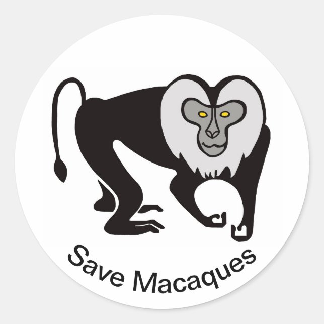 Wild animals - Save MACAQUES - Nature -  Classic Round Sticker (Front)