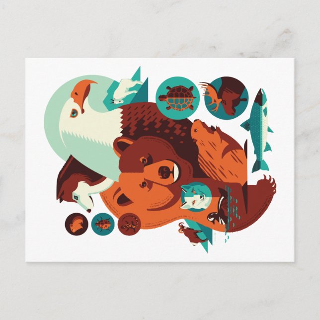 Wild Animals V.09 Postcard (Front)