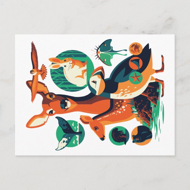 Wild Animals V.13 Postcard (Front)