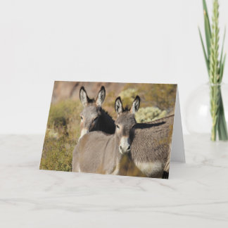 Wild Arizona Burros Card