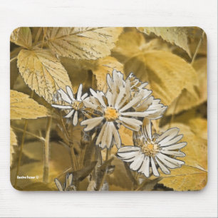 Wild Aster Mouse Pad