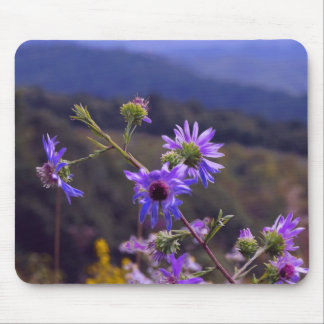 Wild Asters Mouse Pad