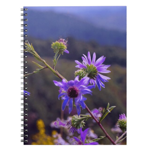 Wild Asters Notebook (Front)