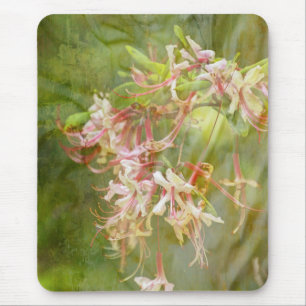 Wild Azalea Blossoms = Springtime Mouse Mat