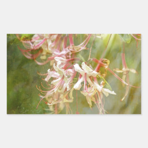 Wild Azalea Blossoms = Springtime Rectangular Sticker