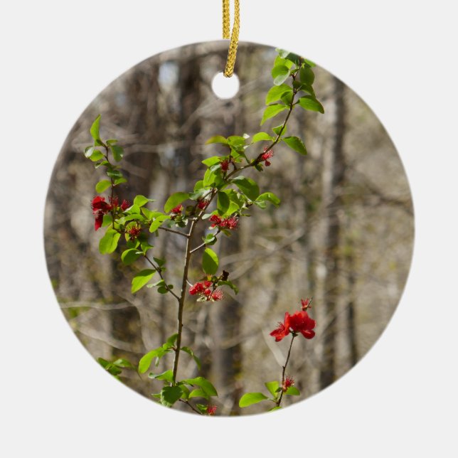 Wild Azalea Bush at Smoky Mountains Ceramic Tree Decoration (Front)