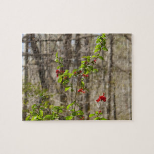 Wild Azalea Bush at Smoky Mountains Jigsaw Puzzle