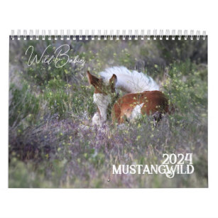 Wild Babies MustangWild 2024 12-month Calendar 