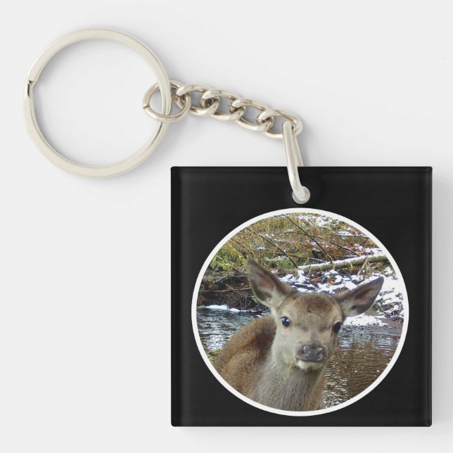 Wild Baby Deer Fawn Winter Habitat Nature Art Key Ring (Front)