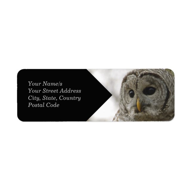 Wild Barred Owl Face Return Address Label (Front)