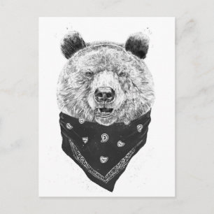 Wild bear postcard