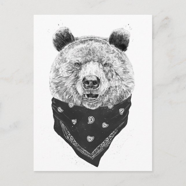 Wild bear postcard (Front)