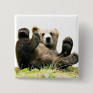 Wild Bears 15 Cm Square Badge