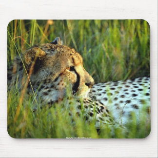 Wild Beautiful Animals 112 Mouse Mat