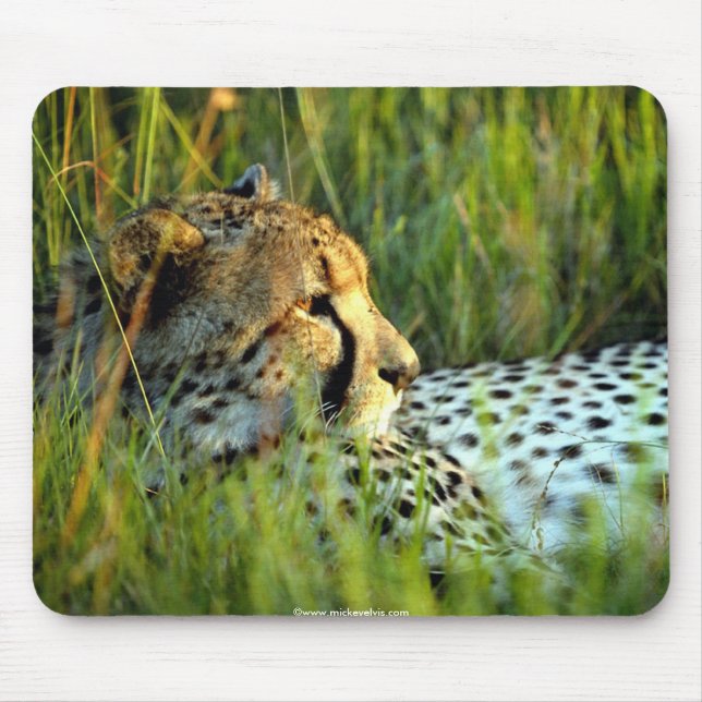 Wild Beautiful Animals 112 Mouse Mat (Front)