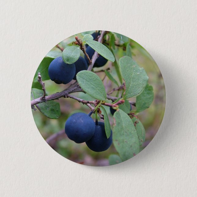 Wild Berries button (Front)