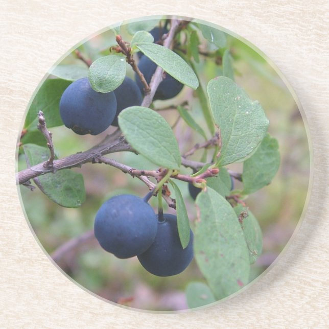 Wild Berries coaster (Front)