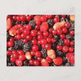 wild berries postcard