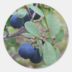 Wild Berries stickers