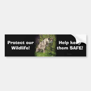 Wild Big Cats Animal-lover Design Bumper Sticker