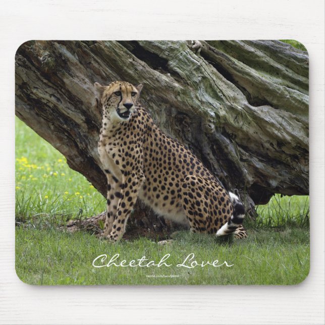 Wild Big Cats Animal-lover Design Mouse Mat (Front)