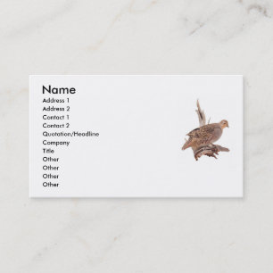 wild bird business card