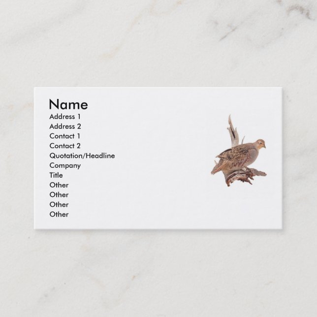 wild bird business card (Front)