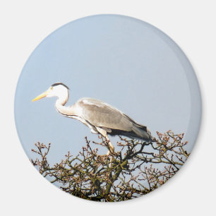 WILD BIRD HERON MAGNET