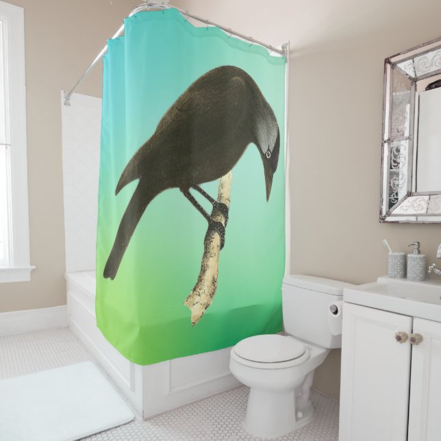 Wild Birds Art - The Raven  Shower Curtain (In Situ)