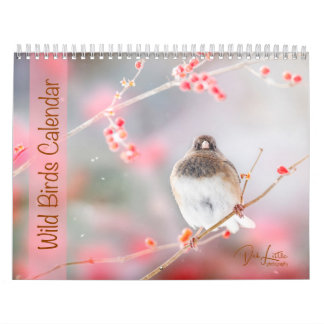 Wild Birds Calendar