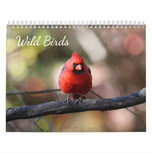 Wild Birds Calendar