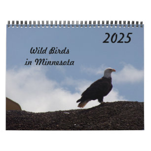 Wild Birds in Minnesota 2025 Calendar