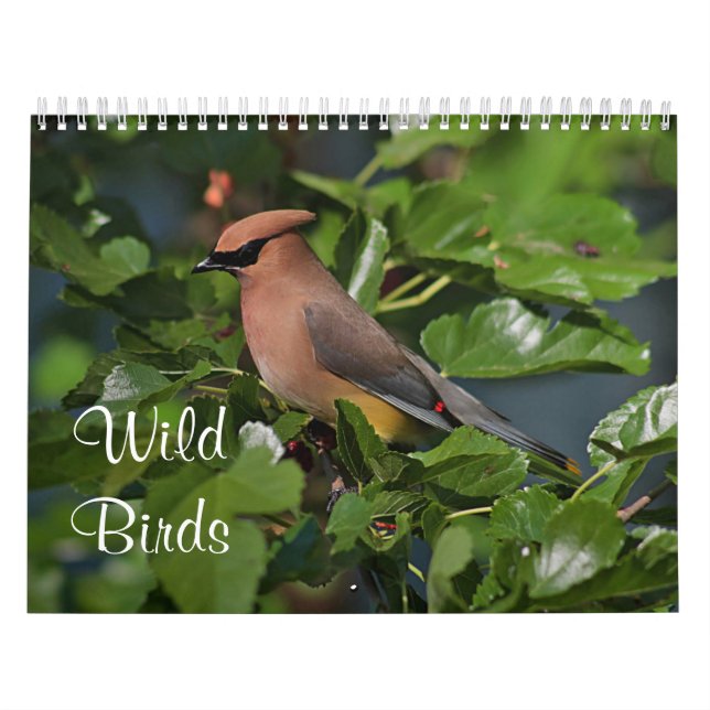 Wild birds in New England Calendar (Cover)