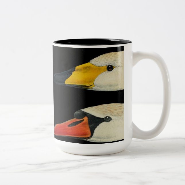 Wild Birds Nature Swans Coffee Mug (Right)