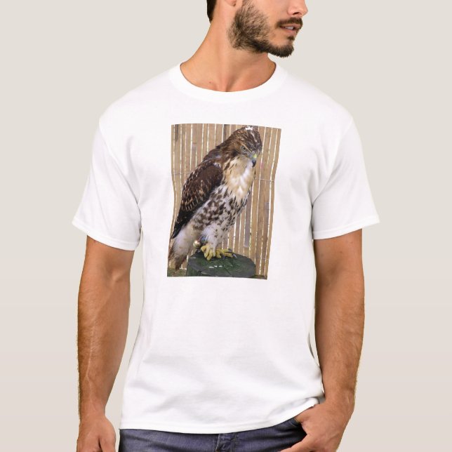 Wild Birds: Red-Tailed Hawk T-Shirt (Front)