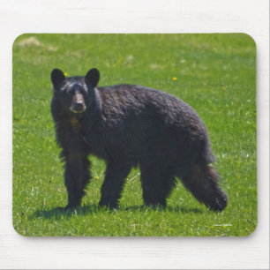 Wild Black Bear and Grass Wildlife Photo Mouse Mat