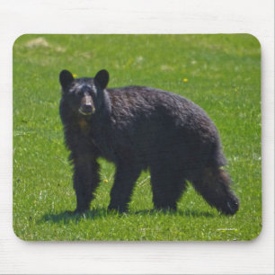 Wild Black Bear and Grass Wildlife Photo Mouse Mat