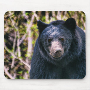 Wild Black Bear and Trees Wildlife Art Mouse Mat