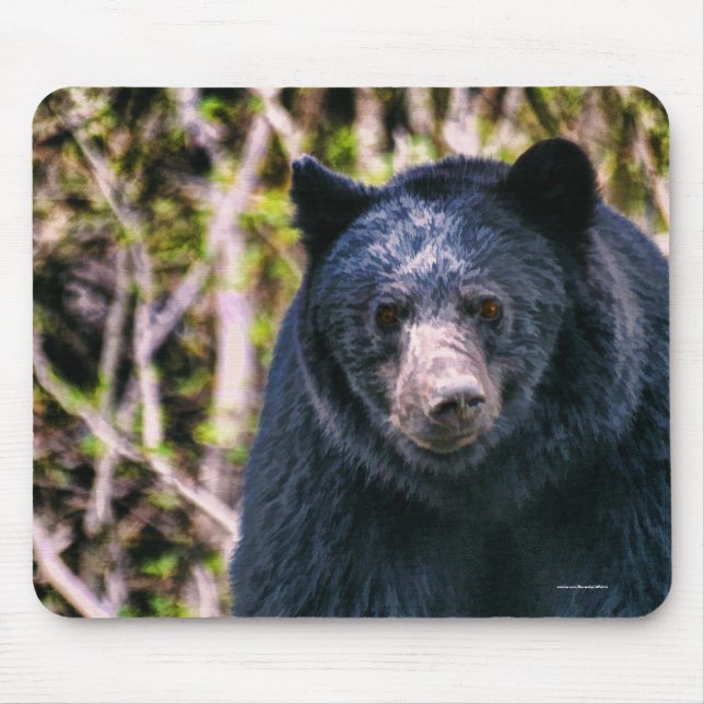 Wild Black Bear and Trees Wildlife Art Mouse Mat (Front)